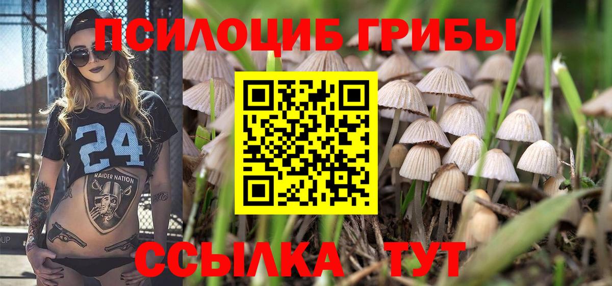 Псилоцибиновые грибы Magic Shrooms  Вход с VPN  Каменск-Шахтинский  Псилоцибиновые грибы MAGIC MUSHROOMS 