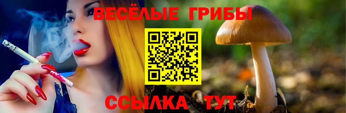 Галлюциногенные грибы MAGIC MUSHROOMS Каменск-Шахтинский